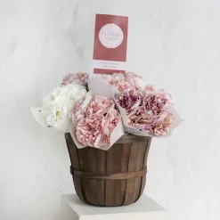 Peony Bouquet x 5 Flower Heads White (32cmH)