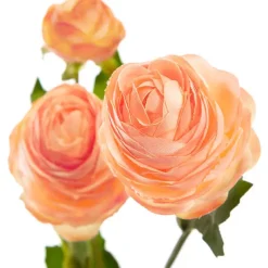 Petite Ranunculus Spray Coral (42cmH)