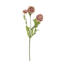 Petite Ranunculus Spray Dusty Rose (42cmH)