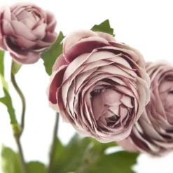 Petite Ranunculus Spray Dusty Rose (42cmH)