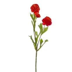 Petite Ranunculus Spray Orange (42cmH)