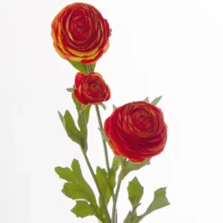 Petite Ranunculus Spray Orange (42cmH)