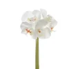 Phalaenopsis Orchid Bouquet Real Touch 6 Flowers White 29cm