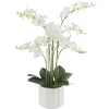 Phalaenopsis Orchid Real Touch 6 Stem Potted White (57cmH)