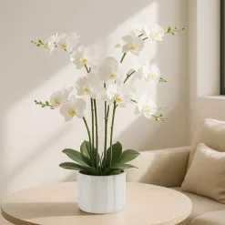 Phalaenopsis Orchid Real Touch 6 Stem Potted White (57cmH)