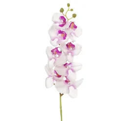 Phalaenopsis Orchid Real Touch 8 Flowers Pink (97cmH)