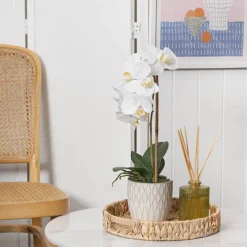 Phalaenopsis Orchid Real Touch Single Potted White (46cmH)