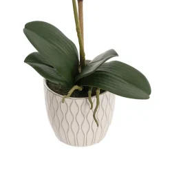 Phalaenopsis Orchid Real Touch Single Potted White (46cmH)