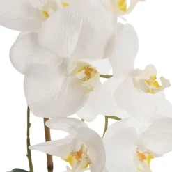 Phalaenopsis Orchid Real Touch Single Potted White (46cmH)