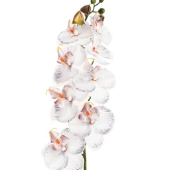 Phalaenopsis Orchid Real Look 8 Flowers White Grey (78cmH)