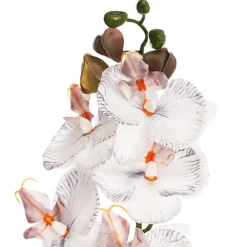 Phalaenopsis Orchid Real Look 8 Flowers White Grey (78cmH)