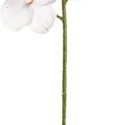 Phalaenopsis Orchid Real Look 8 Flowers White Grey (78cmH)