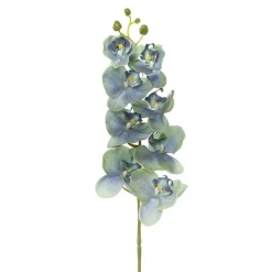 Phalaenopsis Orchid Real Touch 8 Flowers Blue (97cmH)