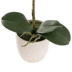 Phalaenopsis Orchid Real Touch Single Potted Purple (46cmH)