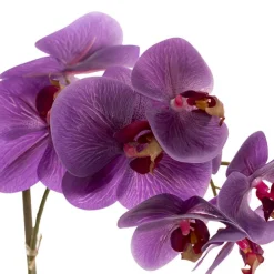 Phalaenopsis Orchid Real Touch Single Potted Purple (46cmH)