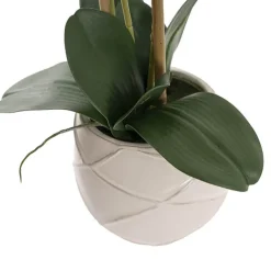 Phalaenopsis Orchid Real Touch 3Stem Potted Fuchsia (60cmH)