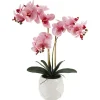 Phalaenopsis Orchid Real Touch 3Stem Potted Hot Pink (60cmH)