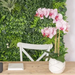 Phalaenopsis Orchid Real Touch 3Stem Potted Hot Pink (60cmH)