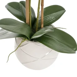 Phalaenopsis Orchid Real Touch 3Stem Potted Hot Pink (60cmH)