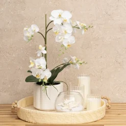 Phalaenopsis Orchid Real Touch 2 Stem Potted White (47cmH)