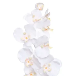 Phalaenopsis Orchid White (90cmH)