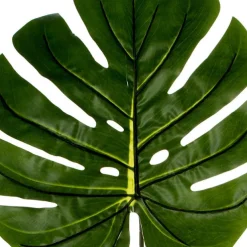 Philo Split Leaf Dark Green (100cmH)