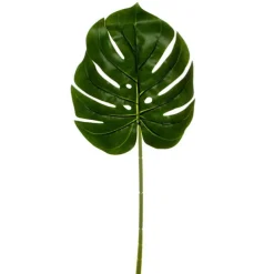 Philo Split Leaf Pick Dark Green (55cmH)