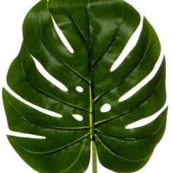 Philo Split Leaf Pick Dark Green (55cmH)