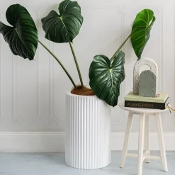 Philodendron Mamei Real Touch Leaf Stem Green (90cmH)