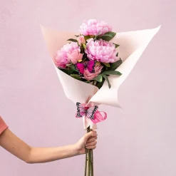 Pick Butterfly 10cm Assorted Set 3 Pack 12