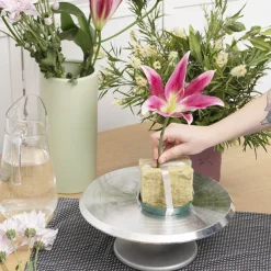 Plastic Posy Base Pack 5 Size 01 Mini (12Dx2cmH)