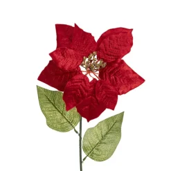 Poinsettia Long Stem Red (22cmDx65cmH)