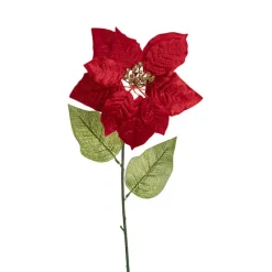 Poinsettia Long Stem Red (22cmDx65cmH)