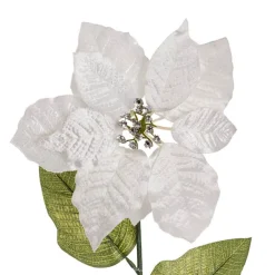 Poinsettia Long Stem White (22cmDx65cmH)