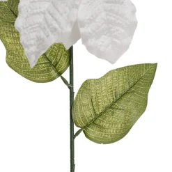 Poinsettia Long Stem White (22cmDx65cmH)
