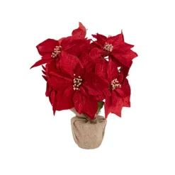Poinsettia Potted Burlap Wrapped 11 Flowers Red (43cmH)