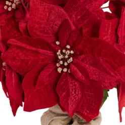 Poinsettia Potted Burlap Wrapped 11 Flowers Red (43cmH)