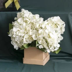 Posy Box Lid Mini Matte Kraft Pack 5 (14x14x3.5cmH)