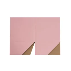 Posy Box Petite Dusty Rose Pack 20 (10x10x10cmH)