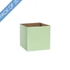 Posy Box Petite Minty Fresh Pack 20 (10x10x10cmH)
