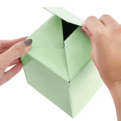 Posy Box Petite Minty Fresh Pack 20 (10x10x10cmH)