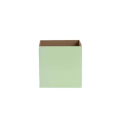 Posy Box Petite Minty Fresh Pack 20 (10x10x10cmH)