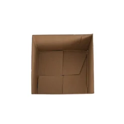 Posy Box Petite Minty Fresh Pack 20 (10x10x10cmH)