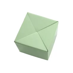 Posy Box Petite Minty Fresh Pack 20 (10x10x10cmH)