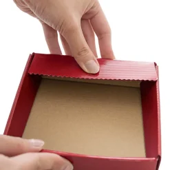 Posy Lid Mini Gloss Red Pack 5 (14x14x3.5cmH)