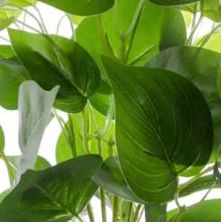 Pothos Bush Real Touch x7 (40cm)