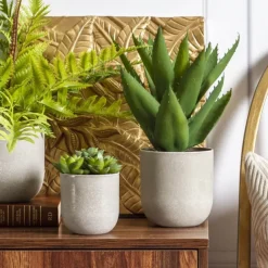 Potted Succulent Rosette 3 Heads (12cm)