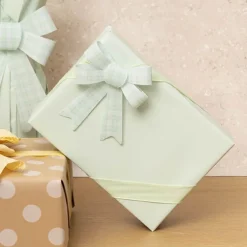 Pre-Made Bow Fabric Top Checkers SpringGreen Pack 3 (9x12cm)