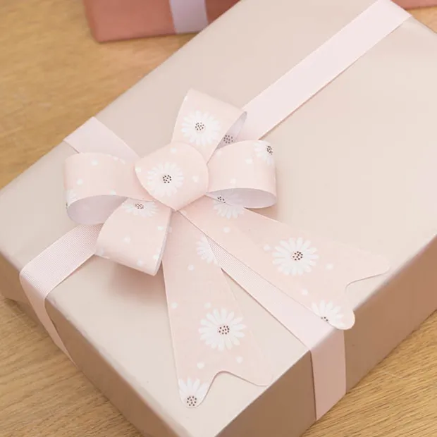 Pre-Made Bow Fabric Top Daisy Delight Blush Pack 2 (14x19cm)