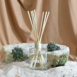 Premium Fragrance Diffuser Leisure Cactus Blossom 250ml